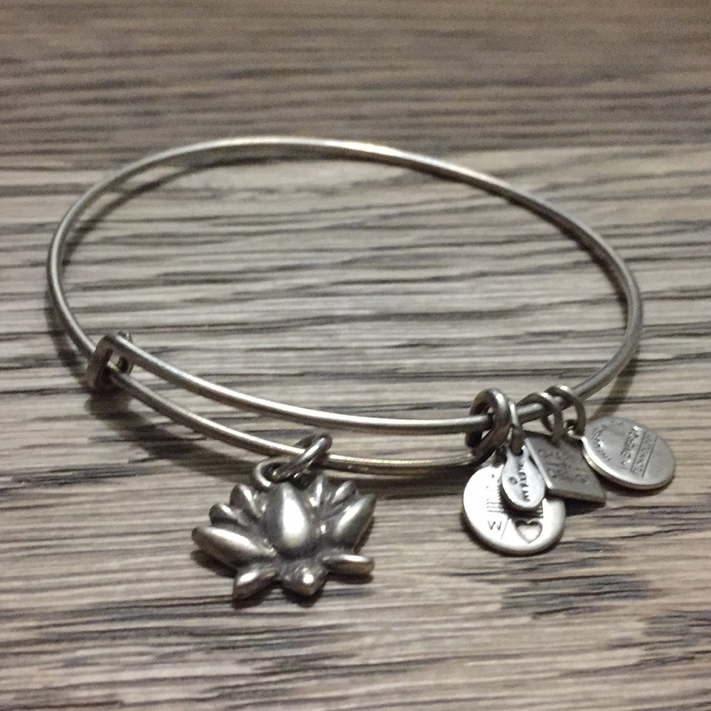 ALEX AND ANI BRACELET